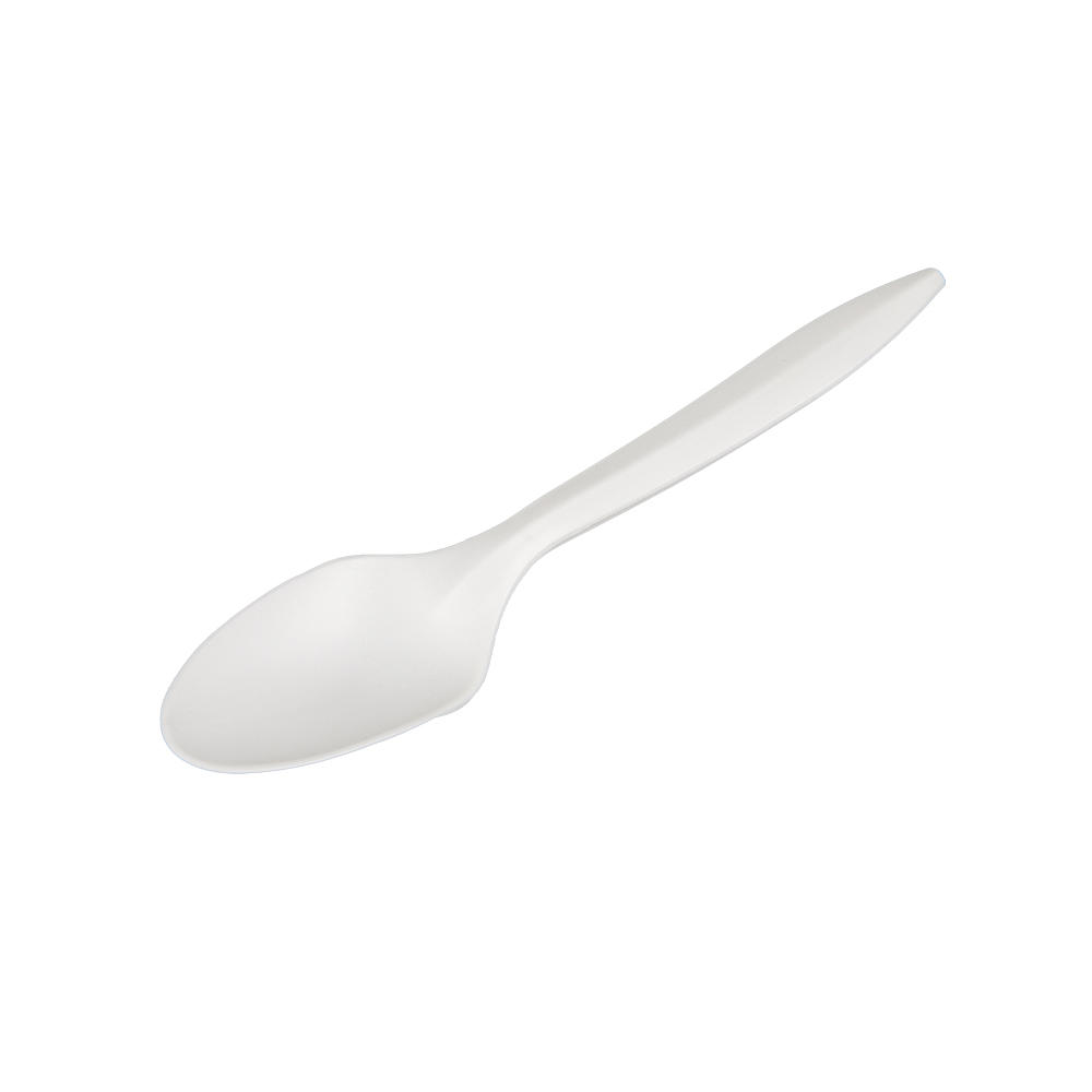 6" CPLA 100% Biodegradable Compostable Utensil  Cornstarch Spoon WFS-06C